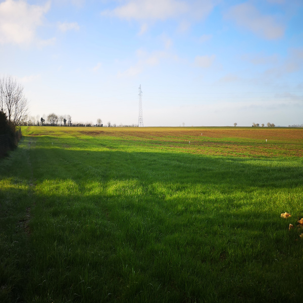 Offres de vente Terrain Sainte-Blandine 79370