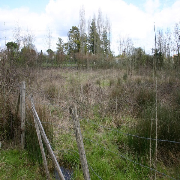 Offres de vente Terrain Bessines 79000