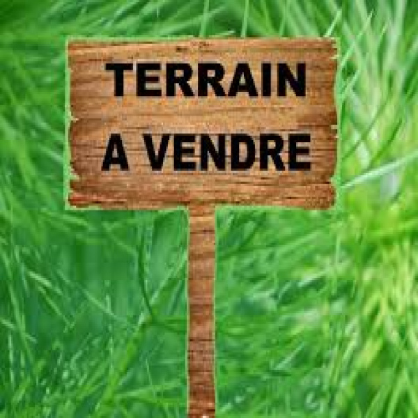 Offres de vente Terrain Bessines 79000